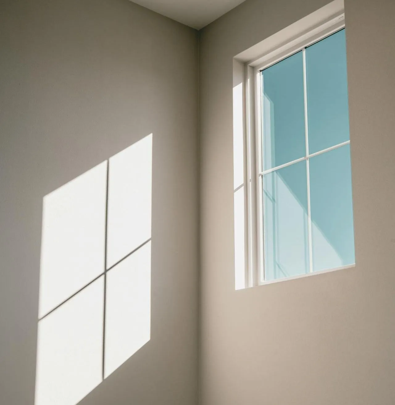 Case Study producent okien